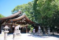 日本宗教 日语培训 日本文化 日本神社