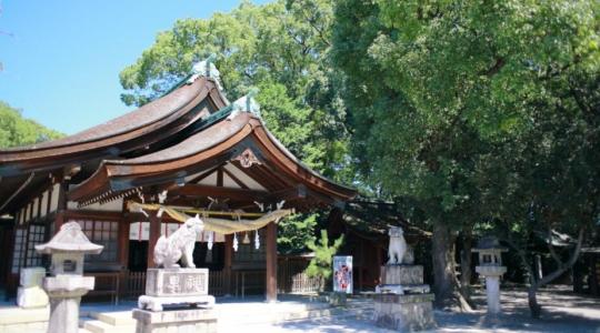 日本宗教 日语培训 日本文化 日本神社